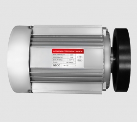 Беговая дорожка Bronze Gym T1100 Pro