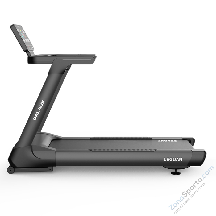 Беговая дорожка Orlauf Leguan