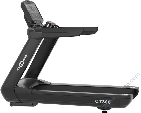 Беговая дорожка CardioPower PRO CT300