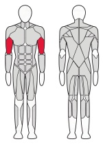 Бицепс машина Fitex Pro FTX-7310