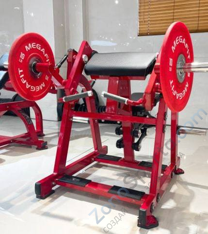 Бицепс сидя на свободных весах Realleader LD-1005 (HSPro-1005) Бицепс сидя на свободных весах Realleader LD-1005 (HSPro-1005)