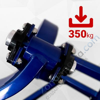 Бицепс сидя на свободных весах Realleader LD-1005 (HSPro-1005) Бицепс сидя на свободных весах Realleader LD-1005 (HSPro-1005)