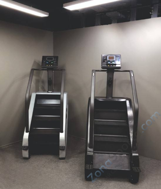 Лестница UG-PS 001