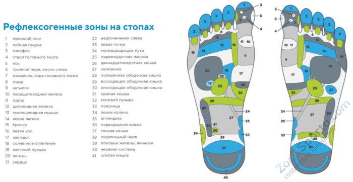 Массажер для ног Ergonova FeelFoot grey