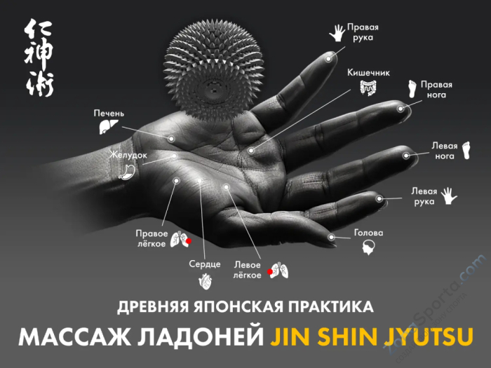 Массажное кресло Fujimo Excelsior Коричневый