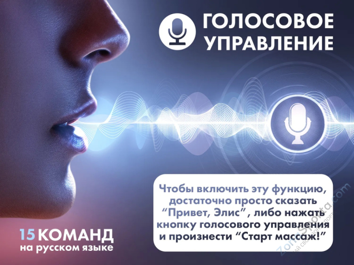 Массажное кресло Fujimo Flexor F500 Brown