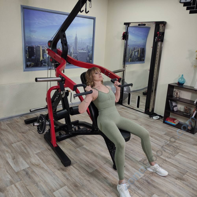 Многофункциональный силовой комплекс Apex GYM 200 Многофункциональный силовой комплекс Apex GYM 200