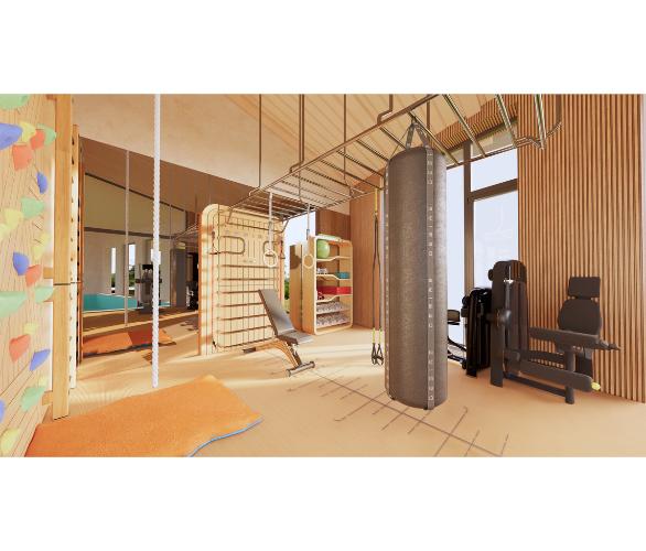 Многофункциональный комплекс с элементами отделки частных яхт и рукоходом шведская стенка Desire Regatta Sky