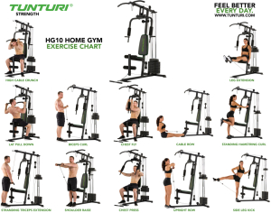 Мультистанция Tunturi HG10