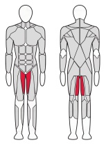 Тренажер Приводящие мышцы бедра XR115