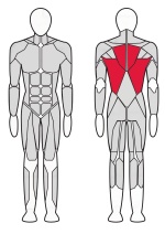 Тренажер Рычажная тяга Fitex FTX-6904 Тренажер Рычажная тяга Fitex FTX-6904