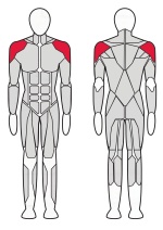 Тренажер Жим вверх Fitex FTX-6905  Тренажер Жим вверх Fitex FTX-6905