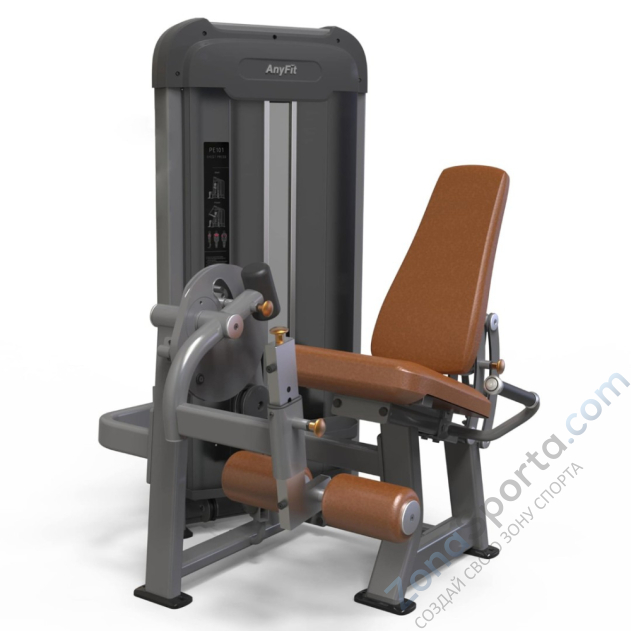 Разгибание ног AnyFit PE201-96