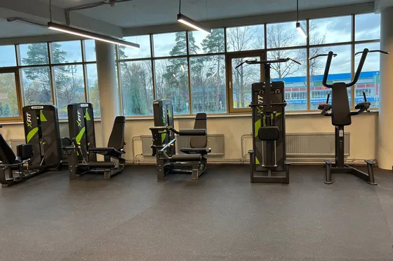 Разгибание ног сидя Spirit SP-4305 Разгибание ног сидя Spirit SP-4305