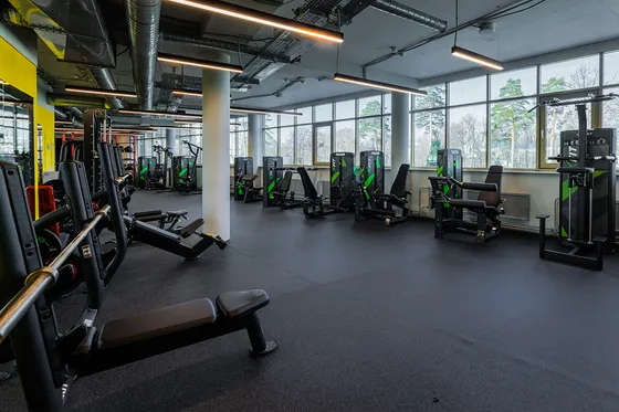 Разгибание ног сидя Spirit SP-4305 Разгибание ног сидя Spirit SP-4305