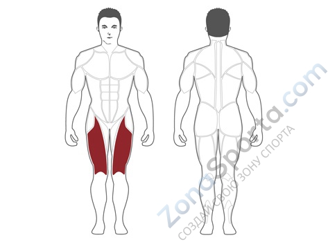 Разгибание ног сидя Steel Flex Hope HLE200B