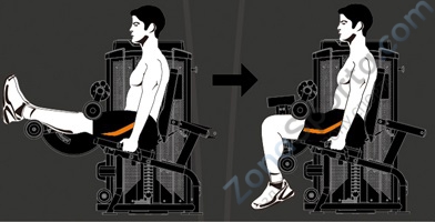 Сгибание ног стоя Steel Flex Hope HLC400B