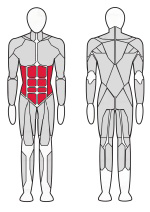Скамья анатомическая V-Sport HL006 Скамья анатомическая V-Sport HL006