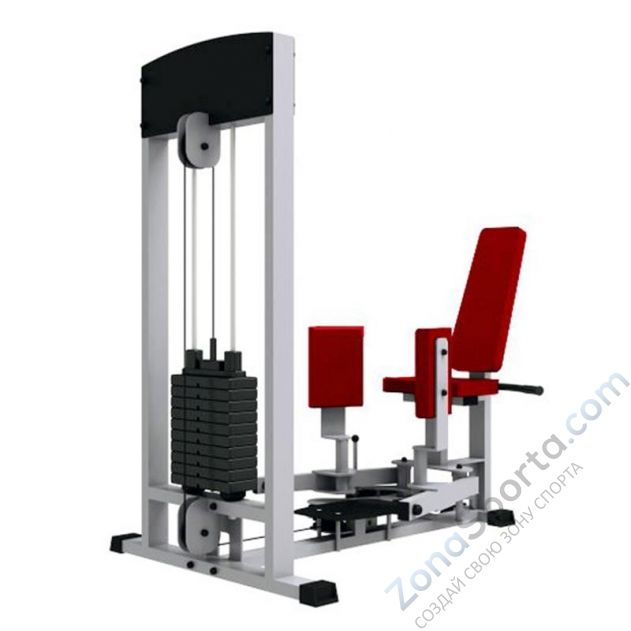 Сведение-разведение ног Iron King IK 06 (1390*1150*1800)