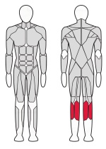 Тренажер Голень сидя Fitex FTX-82018  Тренажер Голень сидя Fitex FTX-82018