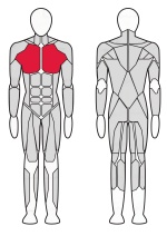 Тренажер Жим горизонтальный сидя Fitex FTX-82014 Тренажер Жим горизонтальный сидя Fitex FTX-82014