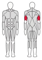 Трицепс машина (брусья) Fitex FTX-82034 Трицепс машина (брусья) Fitex FTX-82034