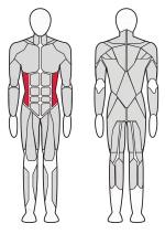 Твистер машина Fitex FTX-61F19