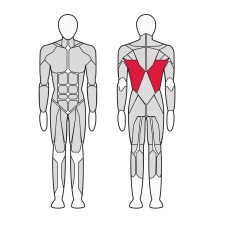 Верхняя тяга Gym80 4E 3620 Верхняя тяга Gym80 4E 3620