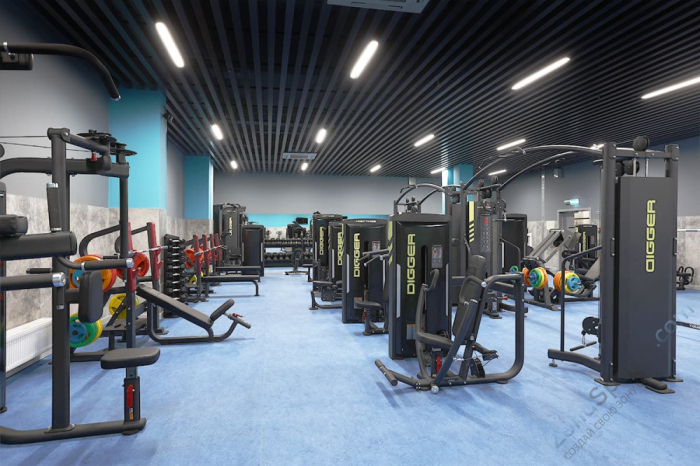 Жим от груди с независимыми рычагами Hasttings Digger HD035-1 Жим от груди с независимыми рычагами Hasttings Digger HD035-1